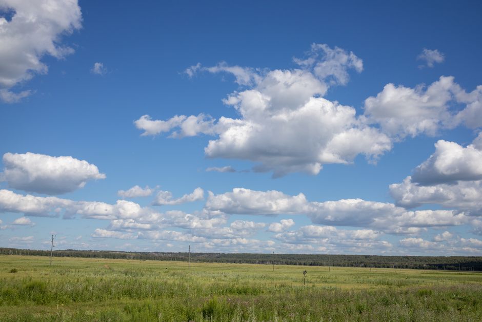 Breathtaking view of a vast green meadow beneath a vibrant blue sky dotted with fluffy clouds.